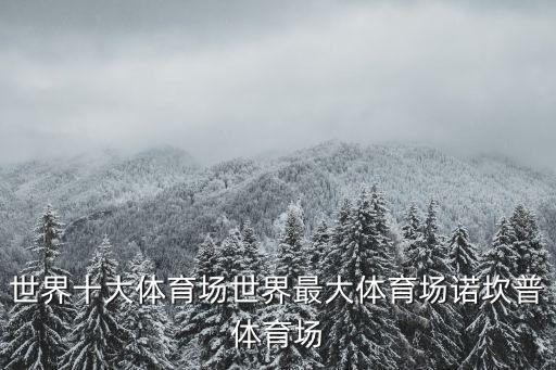 世界十大體育場(chǎng)世界最大體育場(chǎng)諾坎普體育場(chǎng)