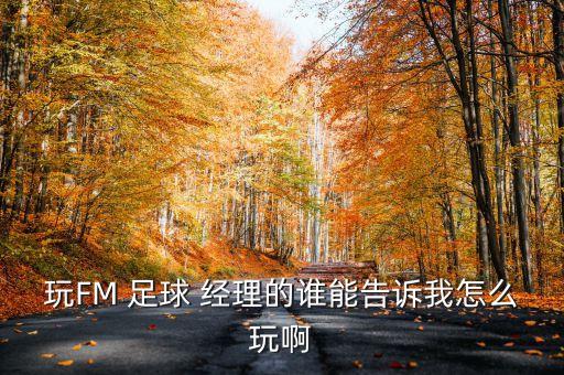 玩FM 足球 經(jīng)理的誰(shuí)能告訴我怎么玩啊