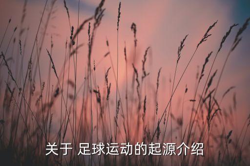 關(guān)于 足球運動的起源介紹