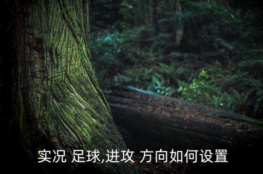 實(shí)況足球2017任意球怎么調(diào)整方向