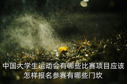 中國(guó)大學(xué)生運(yùn)動(dòng)會(huì)有哪些比賽項(xiàng)目應(yīng)該怎樣報(bào)名參賽有哪些門坎