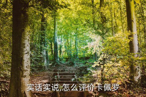 實(shí)話實(shí)說(shuō),怎么評(píng)價(jià)卡佩羅