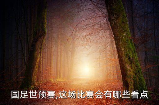2019中國(guó)對(duì)菲律賓足球回放