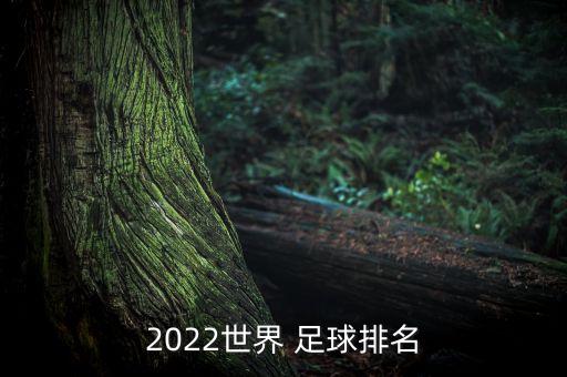 2022世界 足球排名