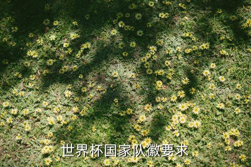 世界杯國家隊(duì)徽要求