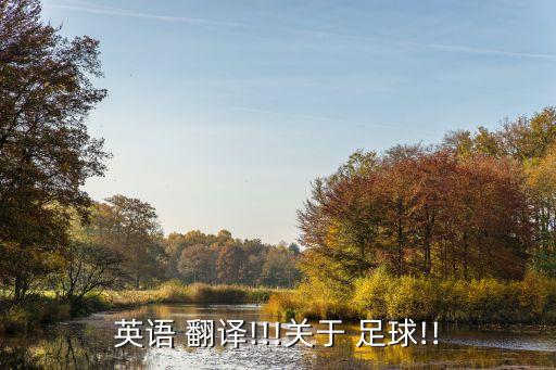 英語(yǔ) 翻譯!!!關(guān)于 足球!!
