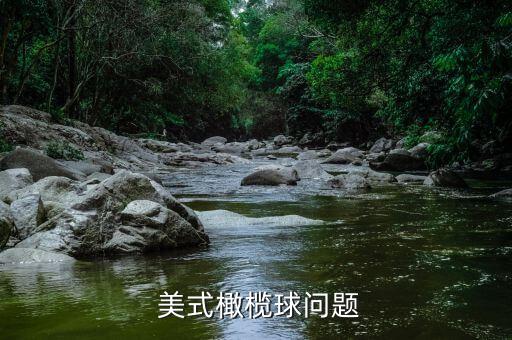  美式橄欖球問(wèn)題