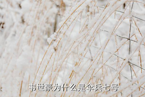 足球運動 韋世豪足球運