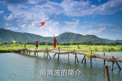 高洪波的簡(jiǎn)介