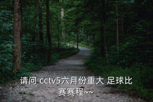 請(qǐng)問 cctv5六月份重大 足球比賽賽程~~