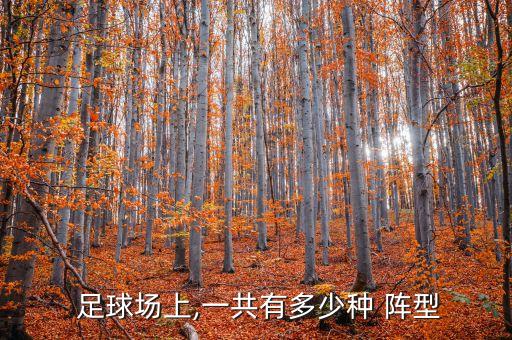 足球的常用陣型,足球常用陣型適合運用什么戰(zhàn)術