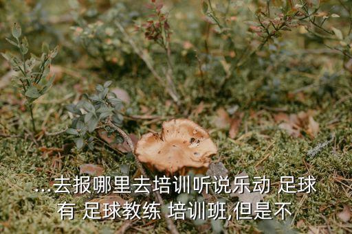 ...去報(bào)哪里去培訓(xùn)聽說(shuō)樂動(dòng) 足球有 足球教練 培訓(xùn)班,但是不