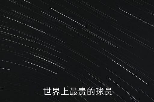 2014世界足球運(yùn)動(dòng)員身價(jià)排名,世界足球明星身價(jià)排名