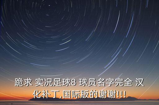 跪求 實(shí)況足球8 球員名字完全 漢化補(bǔ)丁,國際版的謝謝!!!