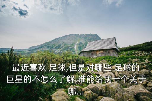 德國(guó)喜歡足球明星,德國(guó)足球明星排名前十名