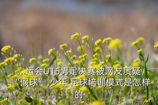 ...運會U15男足決賽被網(wǎng)友質疑“假球”,少年 足球培訓模式是怎樣的