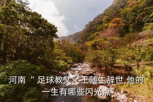 河南“ 足球教父”王隨生辭世,他的一生有哪些閃光點(diǎn)
