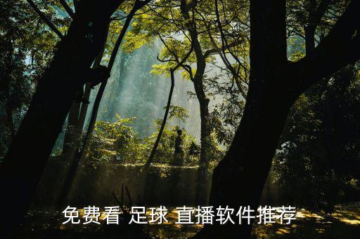 免費(fèi)看 足球 直播軟件推薦