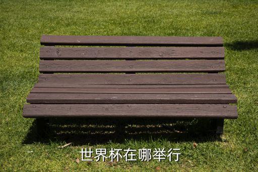 世界足球杯現(xiàn)場(chǎng)部署,2022世界足球杯直播