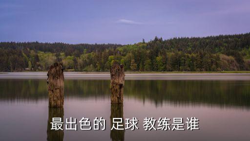 最出色的 足球 教練是誰(shuí)