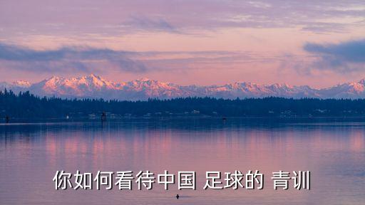 你如何看待中國(guó) 足球的 青訓(xùn)
