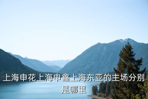上海申花上海申鑫上海東亞的主場分別是哪里