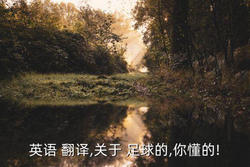 如何當(dāng)好一個足球翻譯