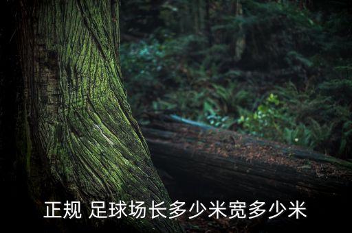 正規(guī) 足球場長多少米寬多少米