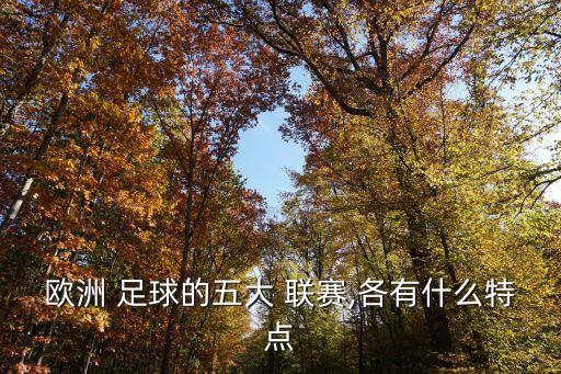 歐洲 足球的五大 聯(lián)賽,各有什么特點(diǎn)