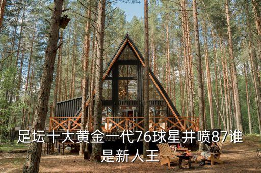 足壇十大黃金一代76球星井噴87誰(shuí)是新人王