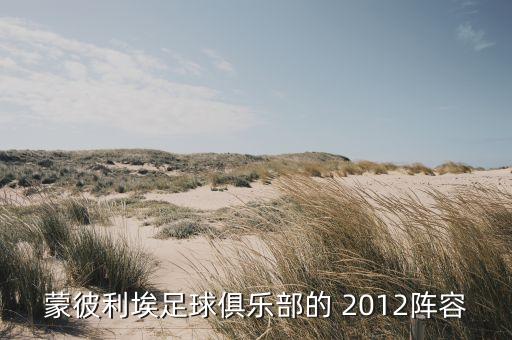 2012足球隊(duì),一個(gè)足球隊(duì)多少個(gè)人