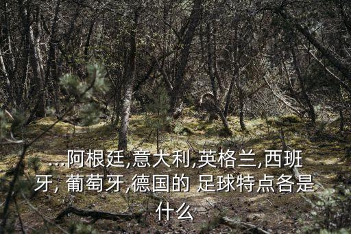 ...阿根廷,意大利,英格蘭,西班牙, 葡萄牙,德國的 足球特點各是什么