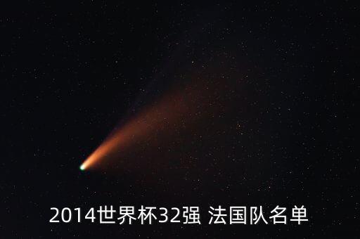 2014世界杯32強(qiáng) 法國(guó)隊(duì)名單