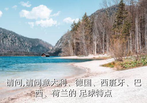 請(qǐng)問,請(qǐng)問意大利、德國(guó)、西班牙、巴西、荷蘭的 足球特點(diǎn)