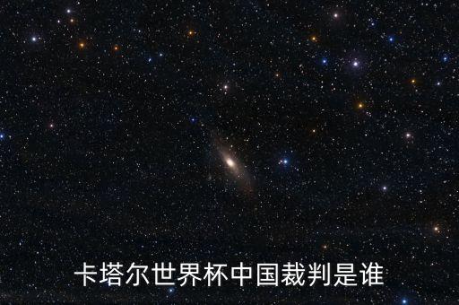 卡塔爾世界杯中國(guó)裁判是誰(shuí)