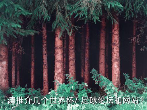 請推介幾個(gè)世界杯/ 足球論壇和網(wǎng)站