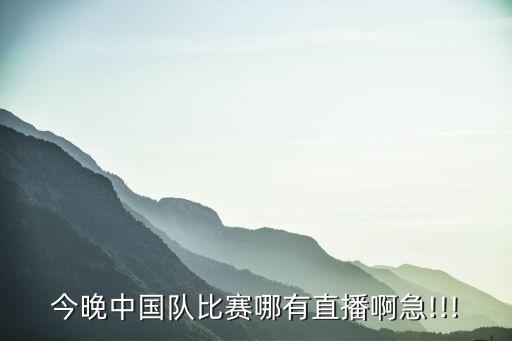 中國(guó)vs冰島足球友誼賽