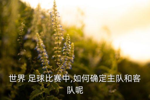 世界 足球比賽中,如何確定主隊(duì)和客隊(duì)呢