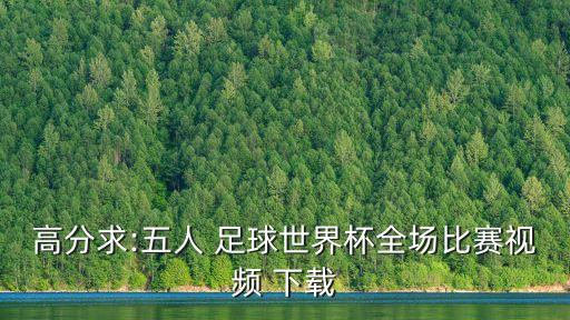 高分求:五人 足球世界杯全場比賽視頻 下載