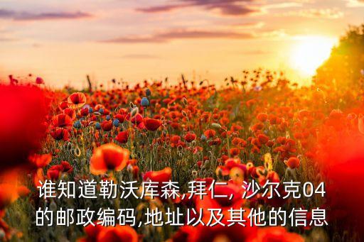 誰知道勒沃庫森,拜仁, 沙爾克04的郵政編碼,地址以及其他的信息
