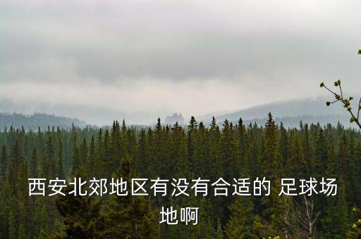 西安足球廠場(chǎng),西安青少年足球培訓(xùn)班