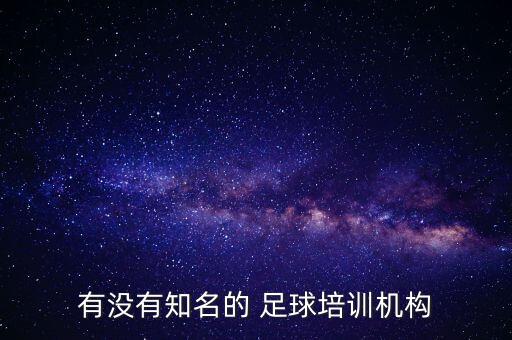 有沒有知名的 足球培訓(xùn)機(jī)構(gòu)