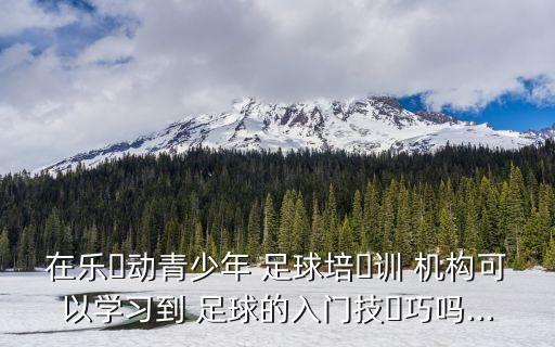 在樂?動(dòng)青少年 足球培?訓(xùn) 機(jī)構(gòu)可以學(xué)習(xí)到 足球的入門技?巧嗎...
