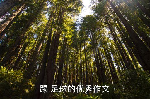 踢 足球的優(yōu)秀作文