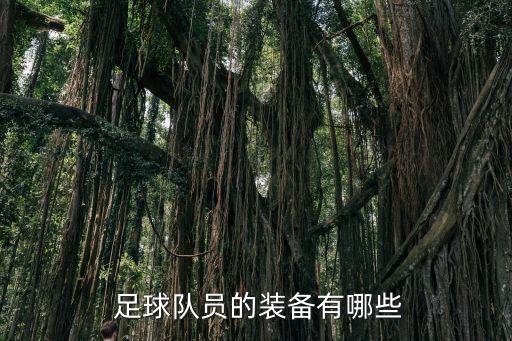  足球隊(duì)員的裝備有哪些
