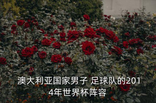  澳大利亞國(guó)家男子 足球隊(duì)的2014年世界杯陣容