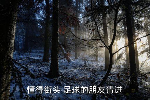 懂得街頭 足球的朋友請進