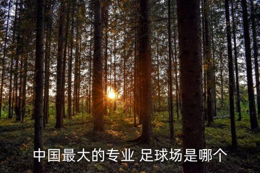中國最大的專業(yè) 足球場是哪個