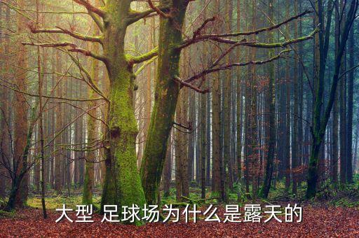 大型 足球場為什么是露天的