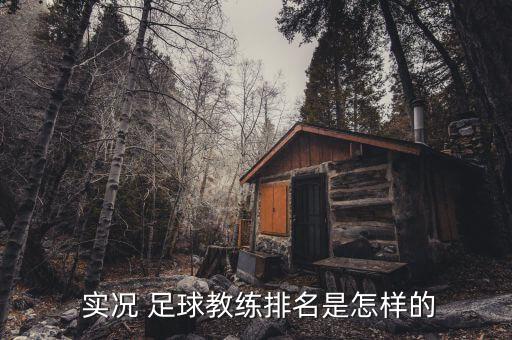 實(shí)況足球2018胡特怎么樣
